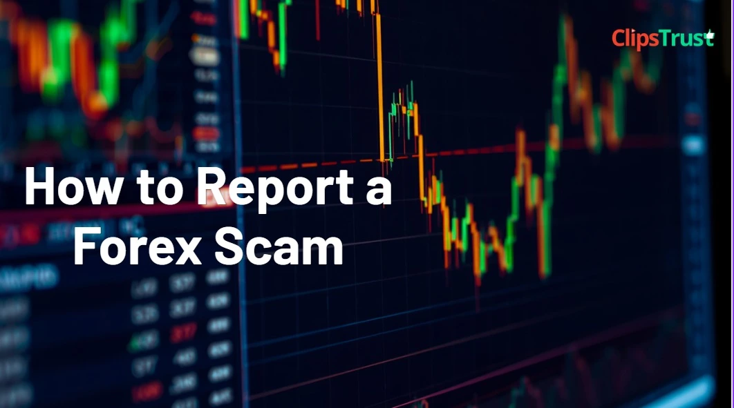 How to Report Forex Scam : Steps & Legal Process Explained